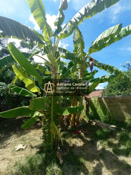 Fazenda à venda com 2 quartos, 80m² - Foto 5